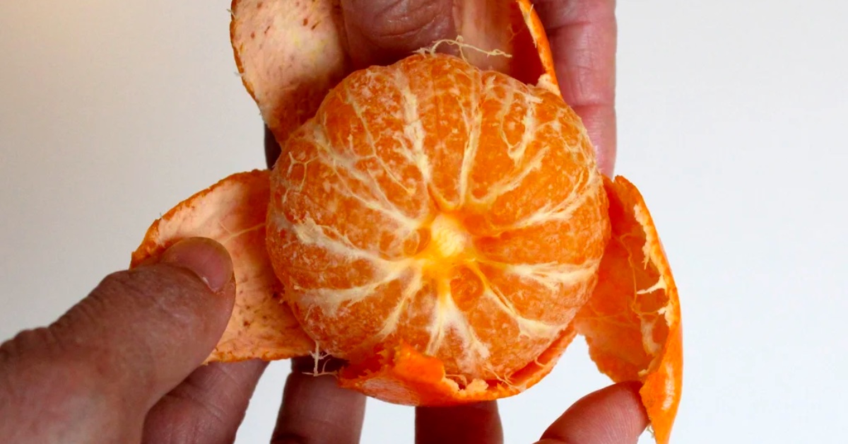 Once you learn about these hacks they'll become a part of your daily life and daily routine...

za.investing.com/magazine/lifes…