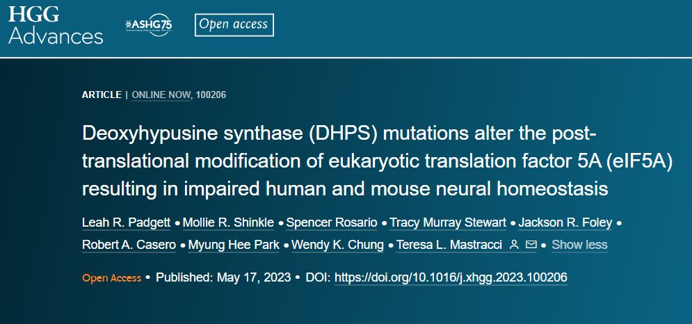 HGGAdvances's tweet photo. 🚨 ONLINE 🚨
@HGGAdvances
📰 Deoxyhypusine synthase (DHPS) mutations alter the post-translational modification of eukaryotic translation factor 5A (eIF5A) resulting in impaired human and mouse neural homeostasis
🧑🤝🧑@TeresaMastracci @LRPadgett & team
👉https://t.co/WSoDneevF3 https://t.co/jeFpFv5VmO