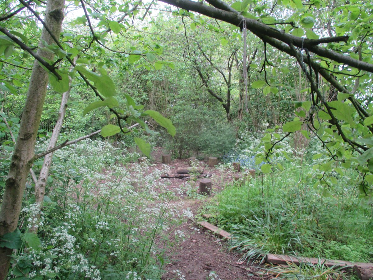 PerryfieldsS's tweet photo. We went on a walk around our beautiful forest area this week.  We practiced positional language, going under trees, over logs and through flowers 🌳🌷🌼🪻🌸 https://t.co/8YnYkZnJe7
