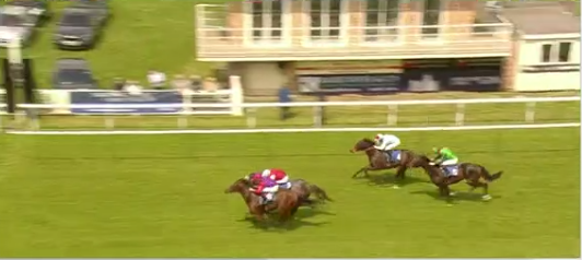 TWFHorseRacing's tweet image. #AnotherWinner for followers with Palmar Bay obliging in the 2.35 @ Salisbury, #WeWinWhenYouWin