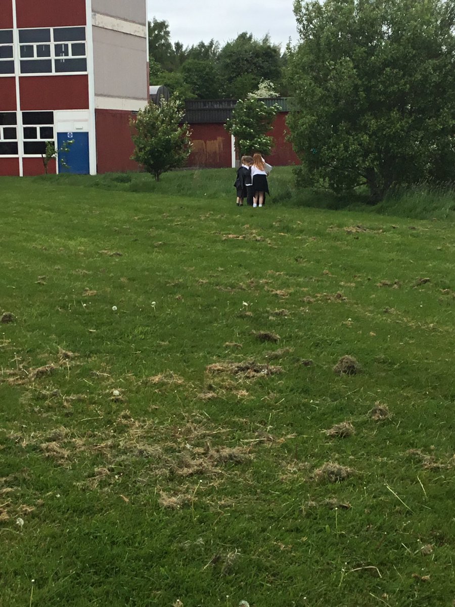 MissHendryRm13's tweet photo. @LawmuirPS https://t.co/gWCFLPDRyr