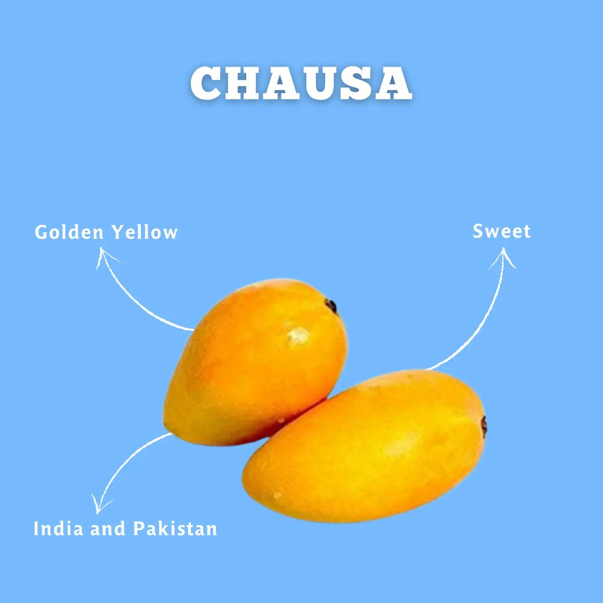 SanjeevKapoor's tweet photo. What's the best way to enjoy Mangoes? (Continued...)

Tell me in the comments.

#Mango #MangoMania #Mangoes #Mangolicious #mangomango #mangolover #chausa #himsagar #dasheri #lalbagh #neelum #mangoseason https://t.co/SgwCoql2AR