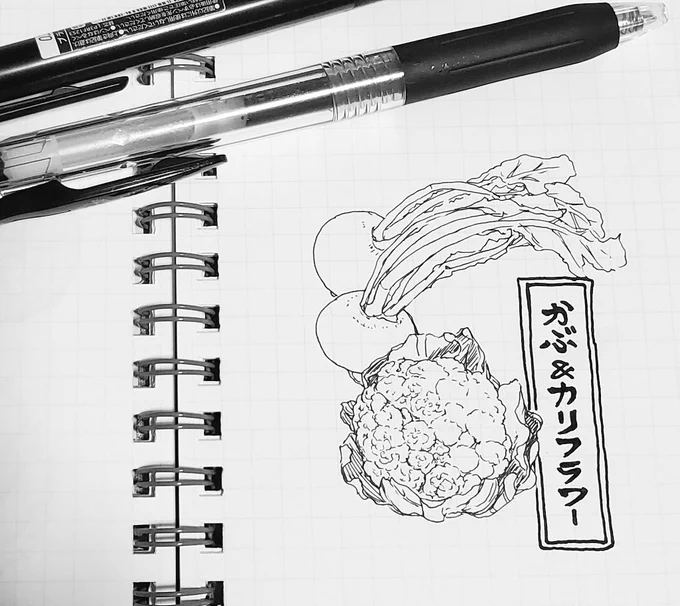 小さな方眼罫メモ帳にボールペンでスケッチするのが好きです。これはこうなってるんだなーと再確認と言うか、解像度が上がった感じ。アジの開きはちょっと焦げました(椿子)