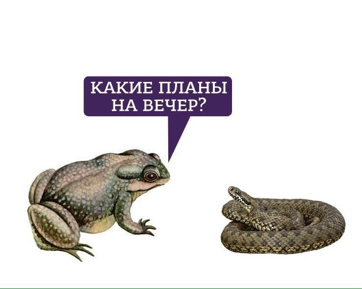 КОРОЧЕ я не хотела нести пост про работу издательств и артеров из тг в тви, но мои побратимы по обложкам просили, а ввиду "просто картинок", видимо, сказать пару слов можно и здесь 
Для справки: я работала с 5-6ю издательствами, кучей импринтов и редакторов, наблюдала разные вещи