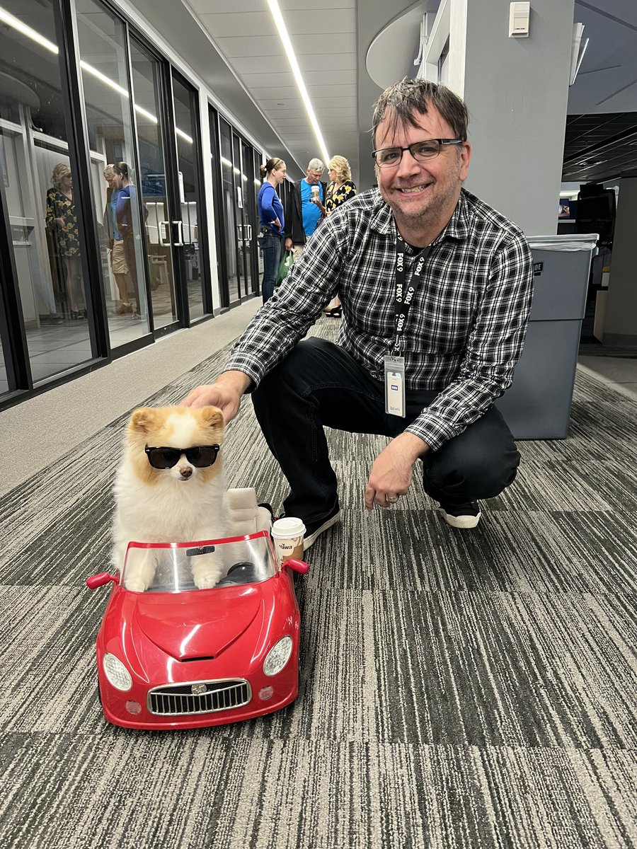ImBillSnodgrass's tweet photo. There are really good days at work, and then there are days where there is a sunglasses wearing dog riding in a car at work! https://t.co/TWdGq7rBuY