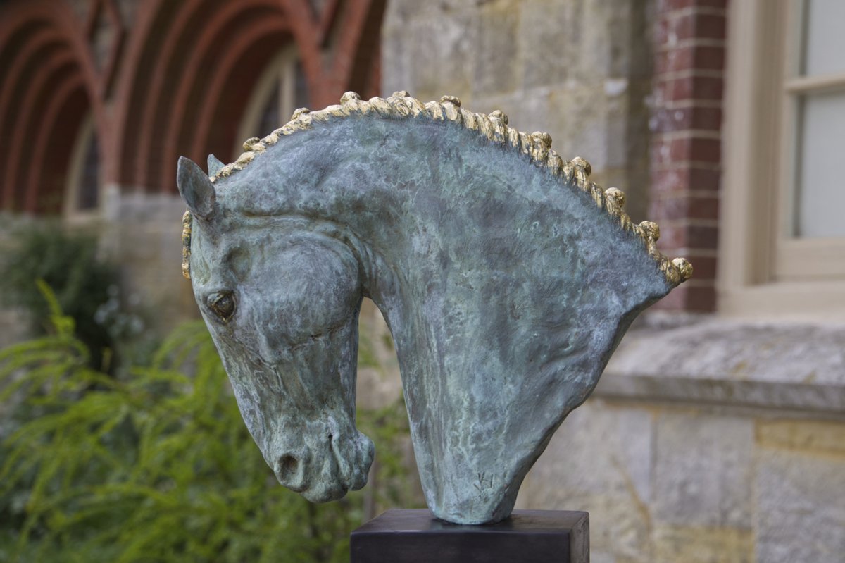 Standen NT tweet media