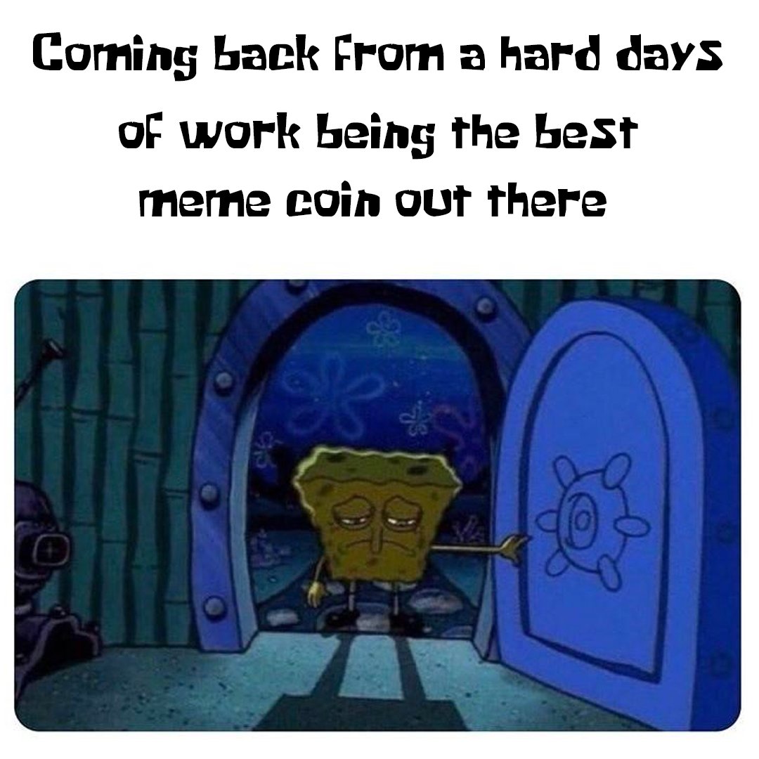 🧽 The life of $SPONGE 🧽