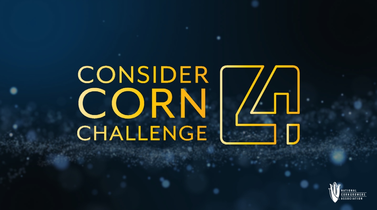 NebraskaCombine's tweet image. A $250,000 prize pool is available for those innovators who can find new uses for field corn in making sustainable chemicals using either the corn kernel or specified coproducts. 🌽

Learn more and submit your idea: ncga.com/ConsiderCorn

#bioeconomy #bioproduct