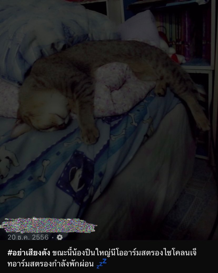 เพิ่งนึกขึ้นได้นี่เคยตั้งชื่อแมวว่า