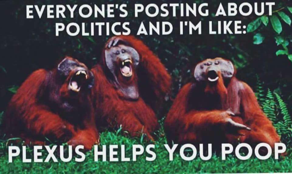 NataschaShaver's tweet image. Personally, I don't like to talk about poop 💩but from a health perspective, pooping is a good thing! If you struggle with this, too much or not enough .....Plexus could HELP!!!!
#biocleanse #probio5 #guthealth. visit my website at shopmyplexus.com/nataschamshaver