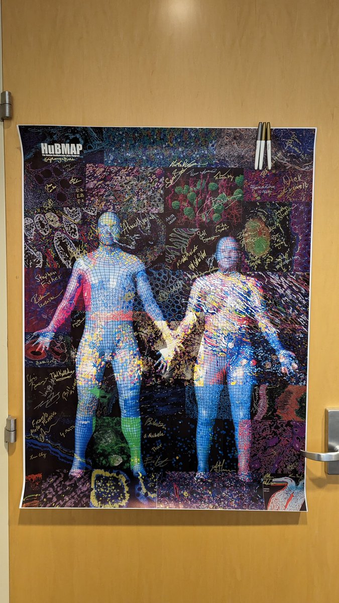 Ricardo M. Ferreira (@ricmelof) on Twitter photo Excited for the start of another day at <a href="/_hubmap/">Human BioMolecular Atlas Program (HuBMAP)</a> meeting! Excited for the start of another day at <a href="/_hubmap/">Human BioMolecular Atlas Program (HuBMAP)</a> meeting!