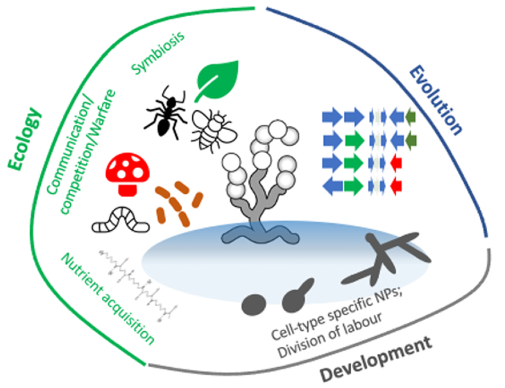 Marc Chevrette tweet media