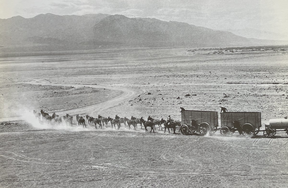 'A twenty-mule team crossing Death Valley in the late 19c. The teams traveled 165 miles from the Harmony Borax works across salt fields, mountains, and desert to the railroad at Mojave. Each wagon weighed 3.5 tons and carried nearly 10 tons of borax.'