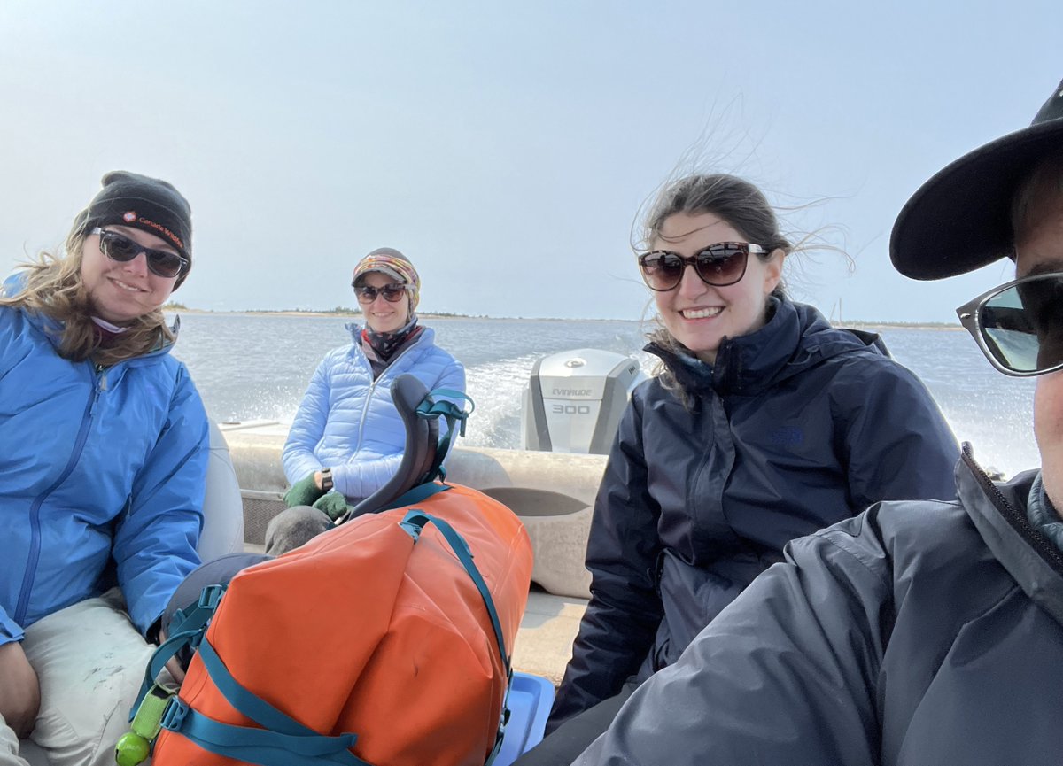 peatofmind's tweet image. MAC Ecohydrology Lab  post-wildfire moss restoration research fieldwork commute

#GeorgianBay
#ParrySound33