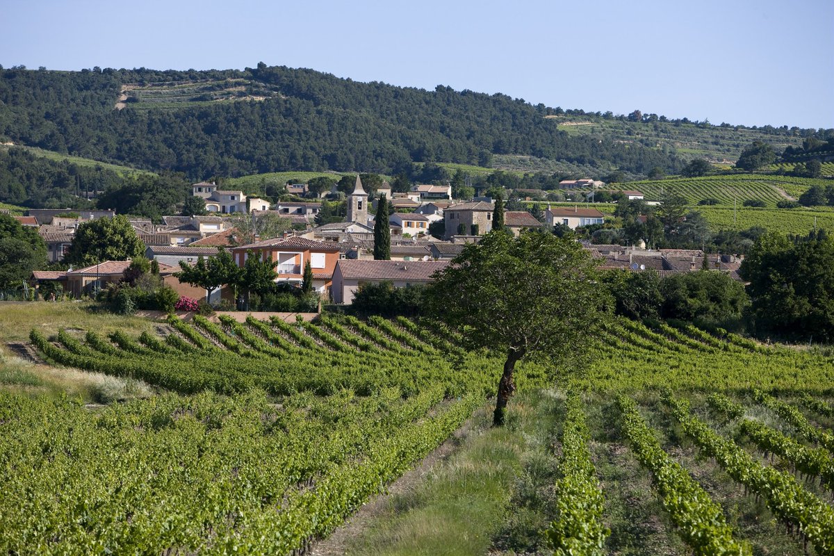 AOC Côtes du Rhône Villages Saint-Maurice
Il y a peu de vignerons qui embouteillent sous l’étiquette Saint-Maurice, et la qualité est toujours au rdv. Qu'ils soient rouges, blancs ou rosés, ce qui distingue ces vins, c'est leur vivacité et leur tension.
vins-rhone.com/vignobles/appe…