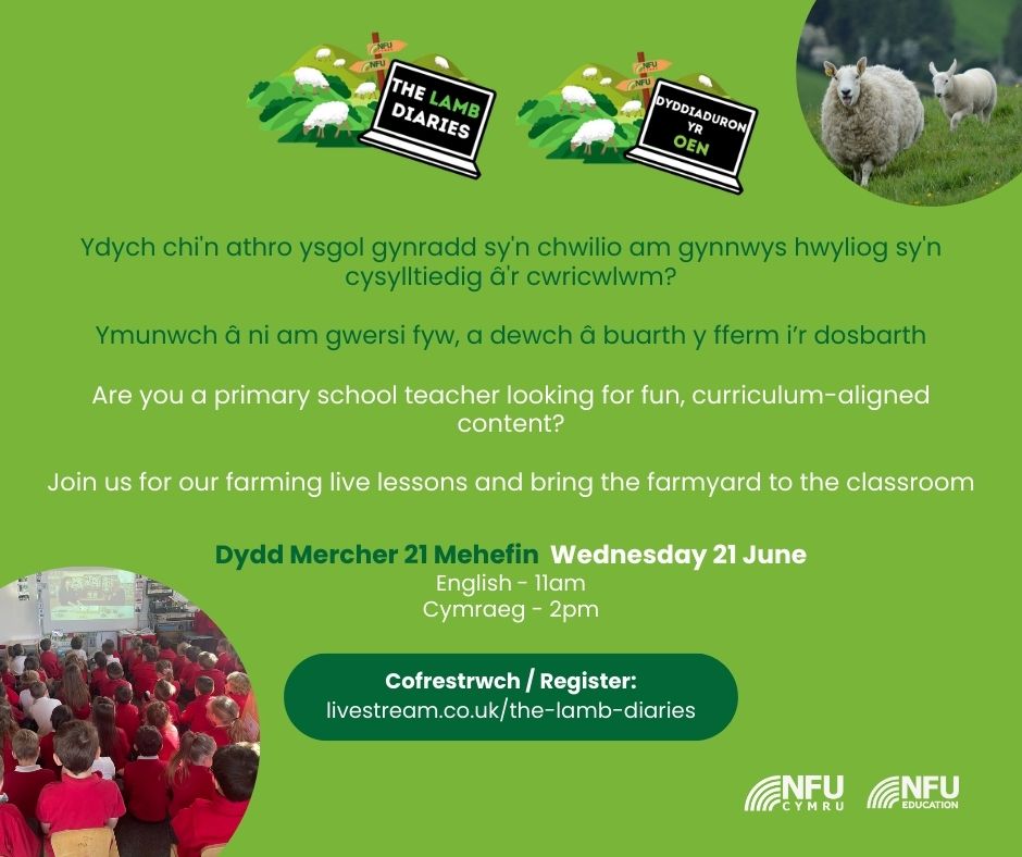 Calling Welsh primary school teachers | Over 5,000 pupils have now been registered for our farming live lessons in June.

Don't let your class miss out, register today: ow.ly/bx8n50Or3On