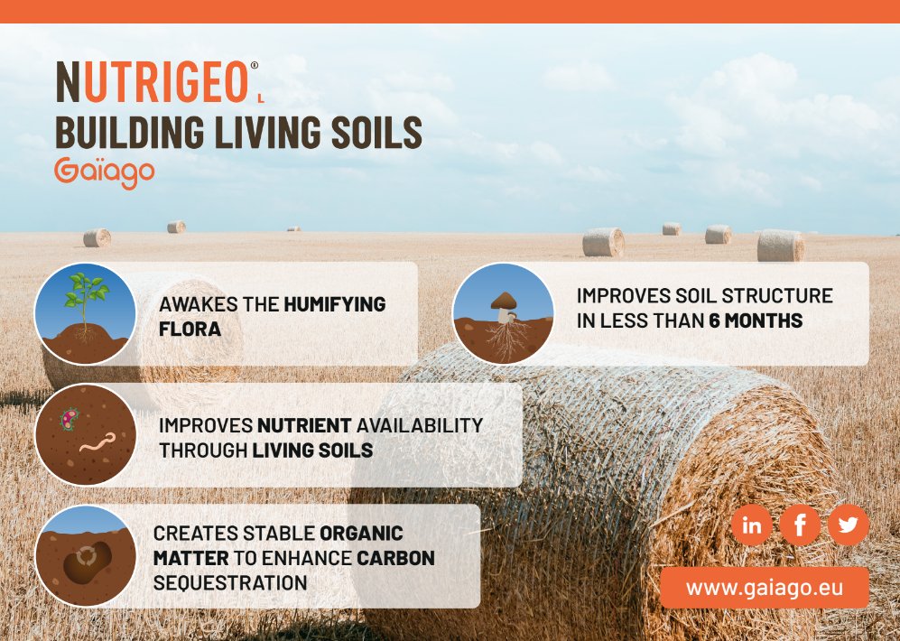 MarkShawGaiago's tweet photo. Mankind thrives when soils thrive, want to know more? Let's start a conversation!
#soilhealthmatters #soilhealth #soilscience #regenerativeagriculture #ecology #farming #agronomy #crops #cropyield #plantnutrition https://t.co/3epSpWyUoQ