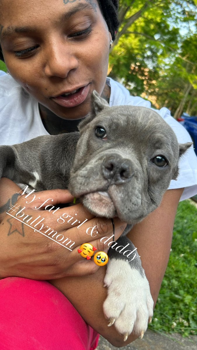 Isis 💎🥰 
Taking this dog mom shit to a different level ‼️ #BullyBreeds #BullyMom #AmericanBully