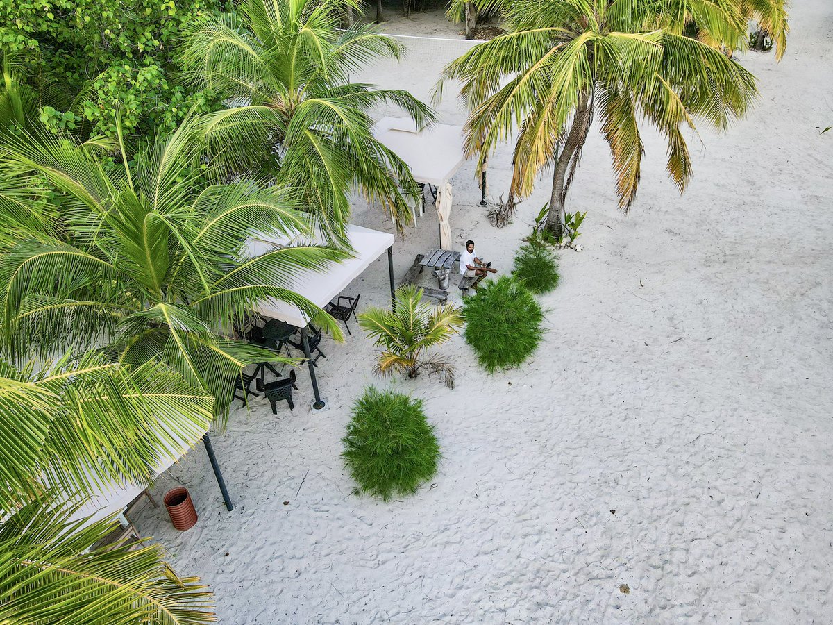 The perfect way to relax this evening .. 
#fodhdhoo #maldives #sabbabeachhotels #sabbabeachsuite #sabbasummersuite #sabbawhitesandcatamaran #sabbabeachvillasandspa #lobstergrillrestaurent #relax #alone #lonely #islandlife #lifestyle #visitfodhdhoo #visitmaldives #vacation