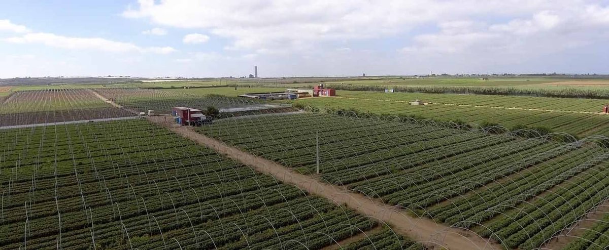 ImpactNewswire's tweet image. Climate finance in Africa: African Development Bank impactnews-wire.com/home/f/climate… via @ImpactNewswire #finance #climate #climateclimate #africa #development #bank  @AfDB_Group