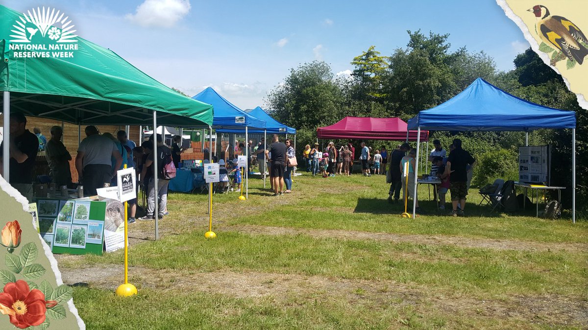 This sunday, to kick off #NNRweek and to celebrate the revamp of the Avalon Marshes Centre, we are having a good old fashioned open day! Come and join us from 10am onwards - for more info see avalonmarshes.org/events/avalon-…