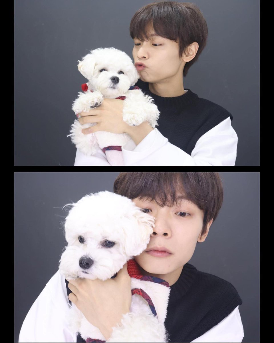 YeopRam's tweet photo. [예찬이랑 설이랑 모음.zip]
- 눈처럼 하얀 설이랑 눈처럼 달콤포근한 예찬ʕ”̮ॽु️♡̷̷̷ https://t.co/BVmBLoD8Aq