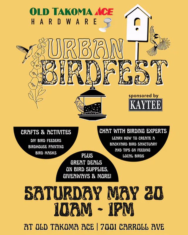 In addition to our bird tour this Saturday, we’re going to have a table at @old_takoma_ace’s Urban Bird Festival! If you’re in the area, feel free to come say hi and learn about places to bird in DC! 

🗓️ May 20, 2023 (Sat)
🕗 10:00 am–2:00 pm
📍 Old Takoma Ace, 7001 Carroll Ave