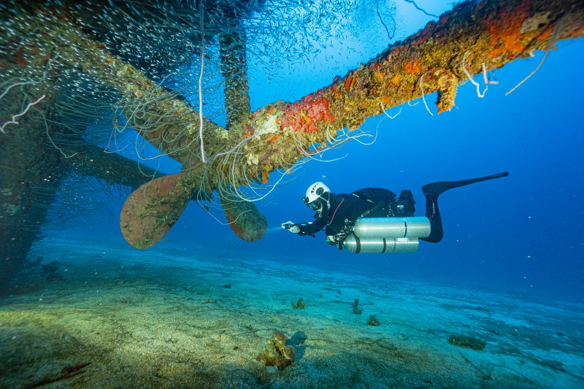 Dan's Dive Shop tweet media