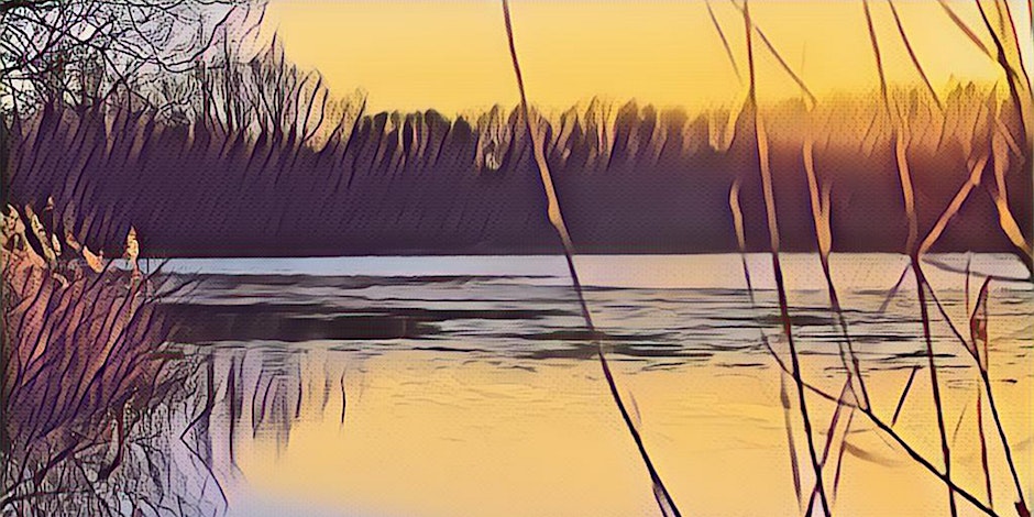 StrandlinersCIC's tweet photo. #Shinewater Studio at the Lake integrated poems, opera, sketching, a thousand years of archaeology and the archaeology of the future. #EastbourneSpringWaterFestival #ESWF23
And a fantastic #birdlist to follow... @blueheartsussex @compass_arts @PlasticFreeEb @EastbourneBC https://t.co/PubyE7tdcu