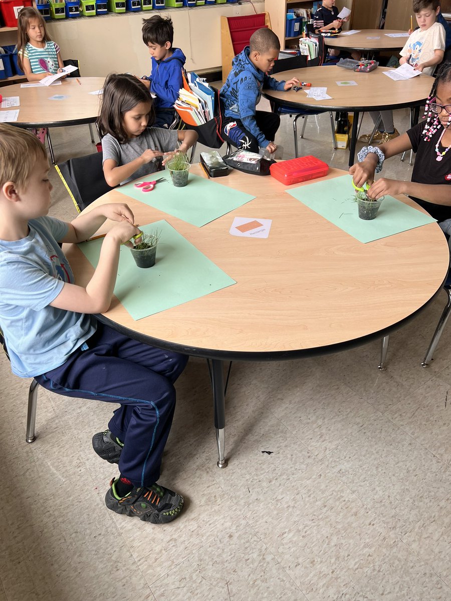 Chop chop ✂️ we gave our grass a haircut today!! #hatchtigers #planting #op97