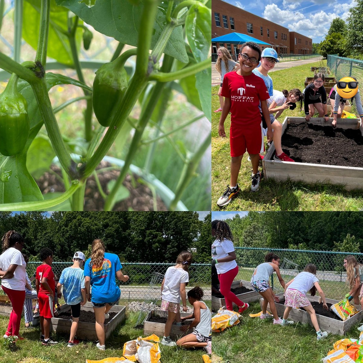 Our Gardening Club is back at it! So proud of these students for working so hard! And another shout out to <a href="/HeritageFFA/">Heritage HS FFA</a> for all the help! <a href="/sanfordcreek/">SanfordCreek ES</a>