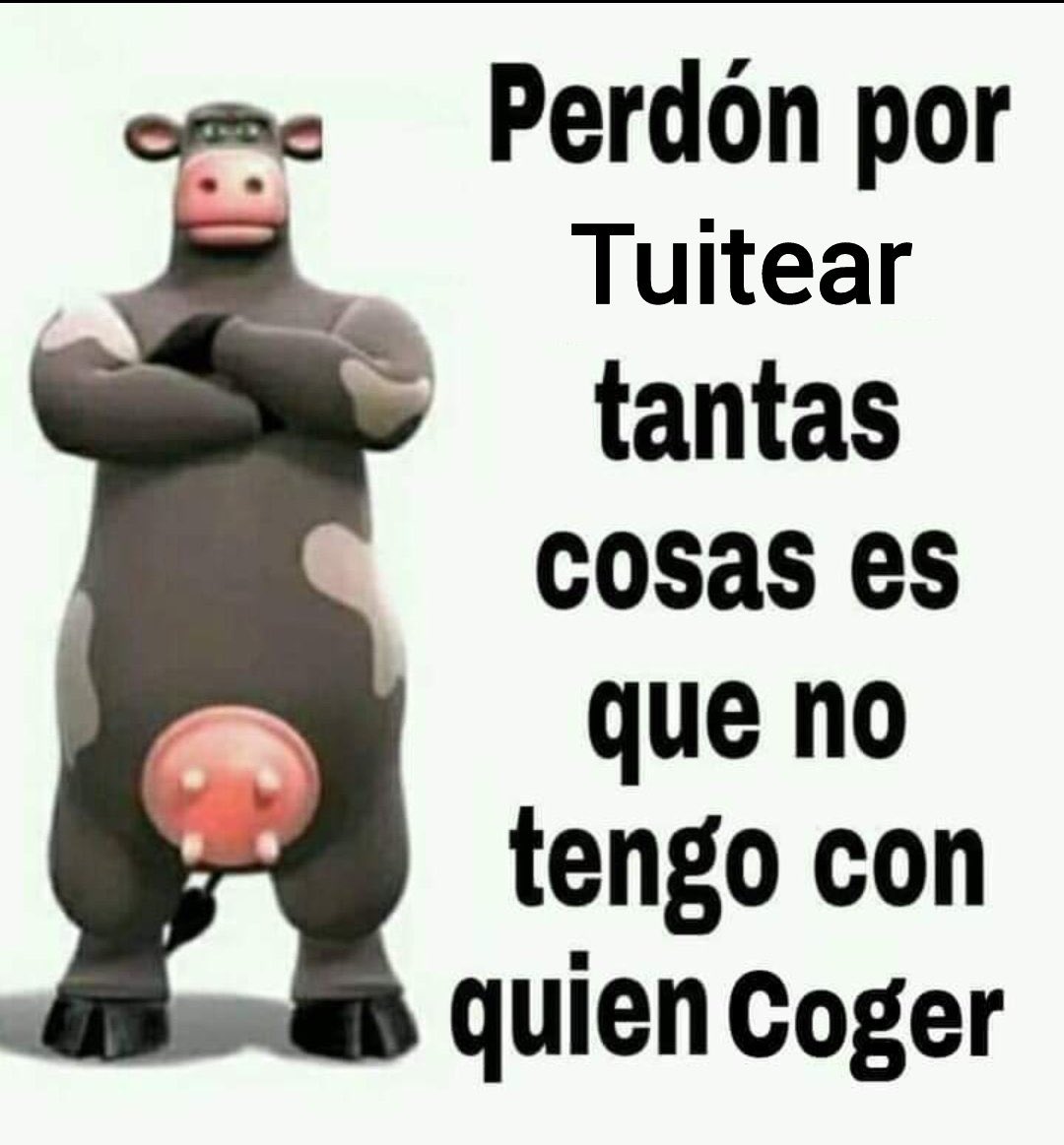 perdón