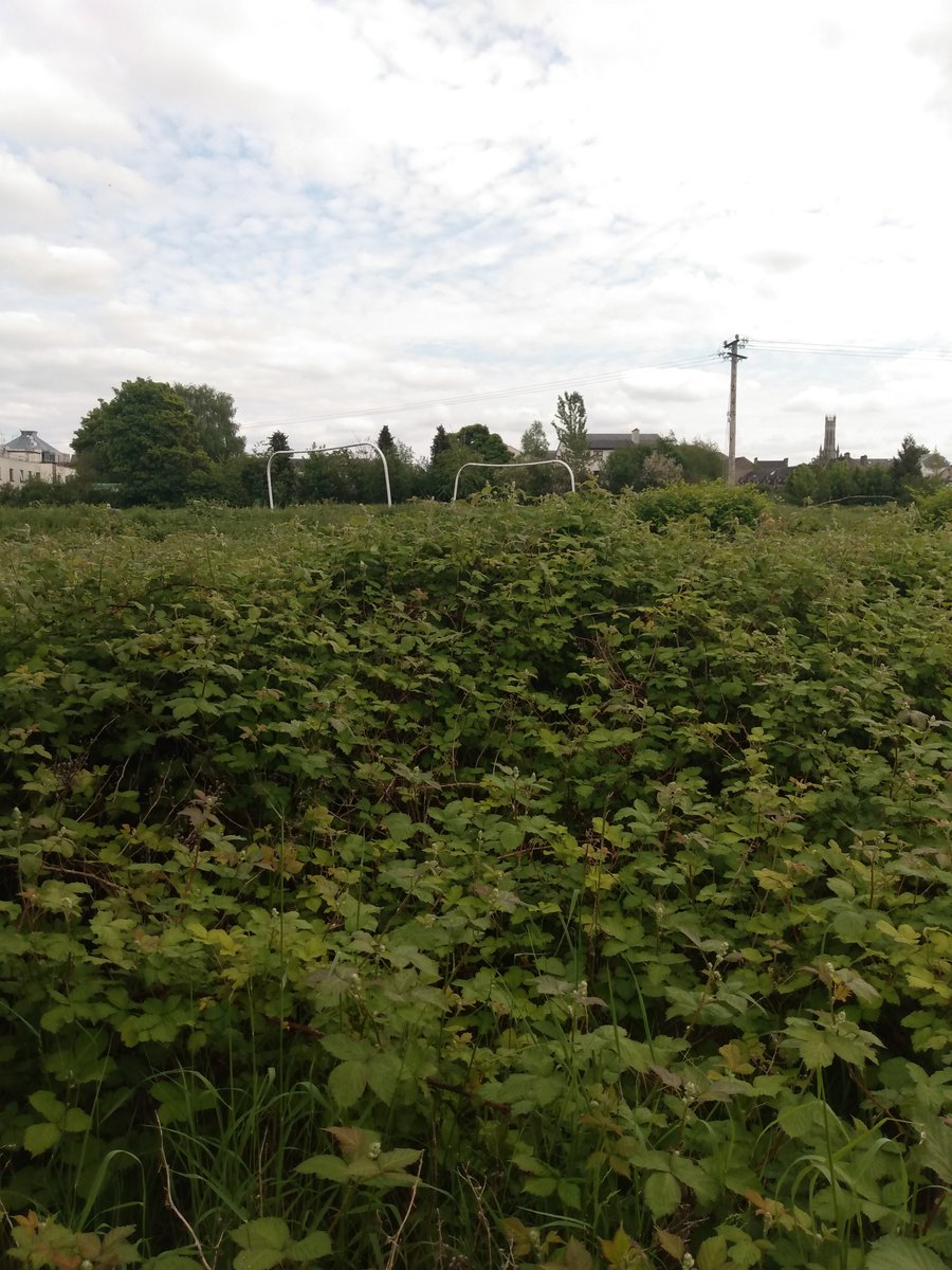 newworkjunction's tweet image. A Kilkenny member dropped in today to meet a Carlow client. She said she loves the shopping and fabulous range of cafes along the river Burren, but she also said, “Carlow’s produced some fine hurlers, but they really need to get the basics right, if they’re going to progress”.