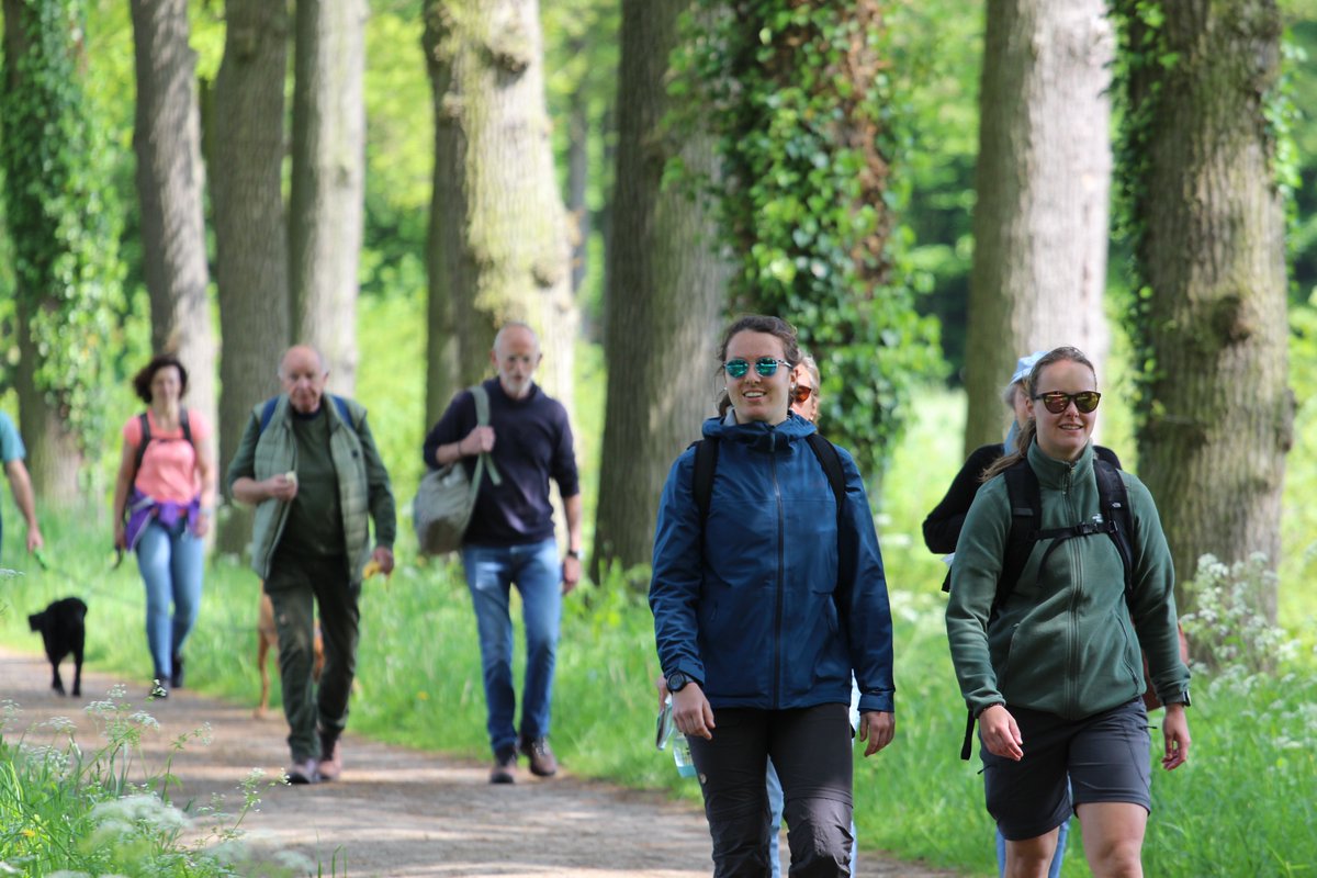 Wandelvierdaagse tweet media