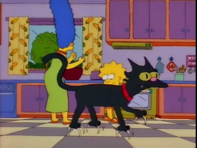 Blanca Mz tweet media