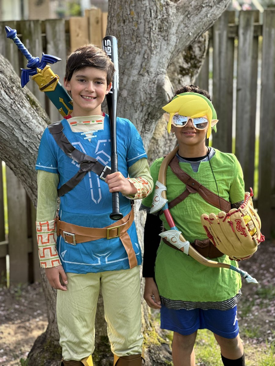 CalabrettaJenn's tweet photo. @weathernetwork @NintendoCanada When Link is taking a break from saving Hyrule and helping Zelda, he plays baseball. @weathernetwork @nintendocanada #ZeldaWeatherWarrior https://t.co/ZReEZLq14L