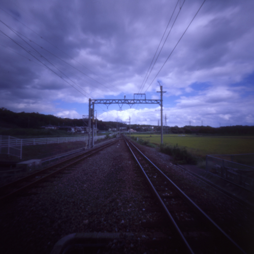 しきはん 🎞 tweet media