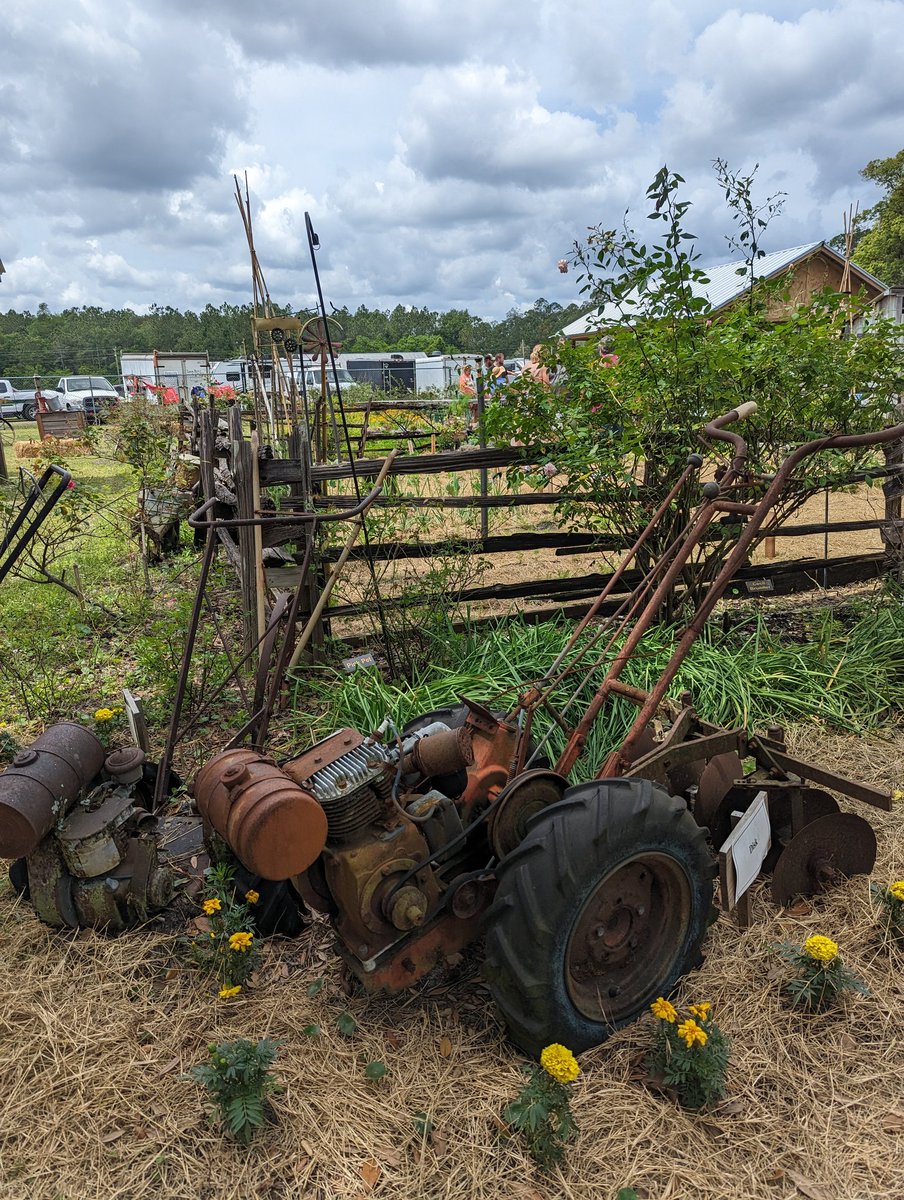 tinyocean_rving's tweet photo. Fair day! 🥳
#NotRVTrip34 #Florida #FL #Food #Fair #Village #OldTown #Native #Growing #Animal #AnimalShow #Fun #Rides #Bee #Queen #TinyOcean #Nature #Outdoors #Family #FamilyTime #Photography #Naturephotography #Travel #Traveling #RV #RVing #RVingUS #RVingUSA #RVlife https://t.co/aCgRl4MiUK