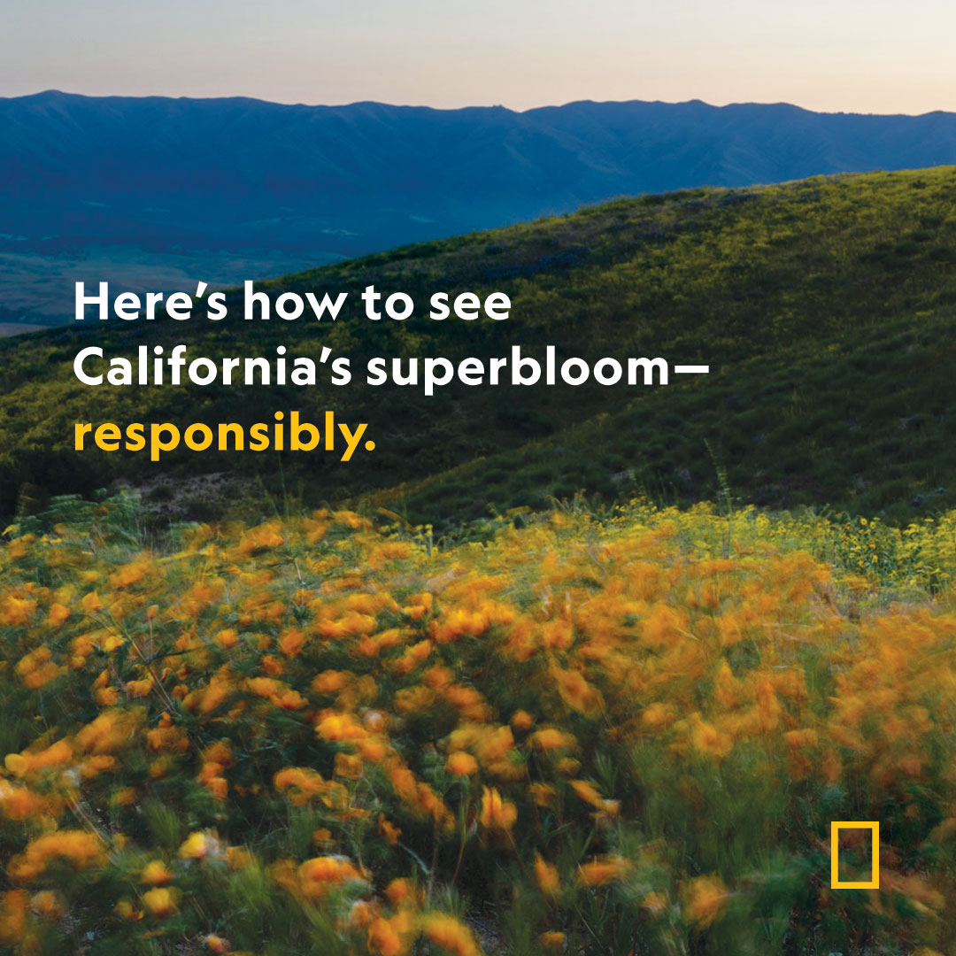 MyWeekendGetaway tweet media