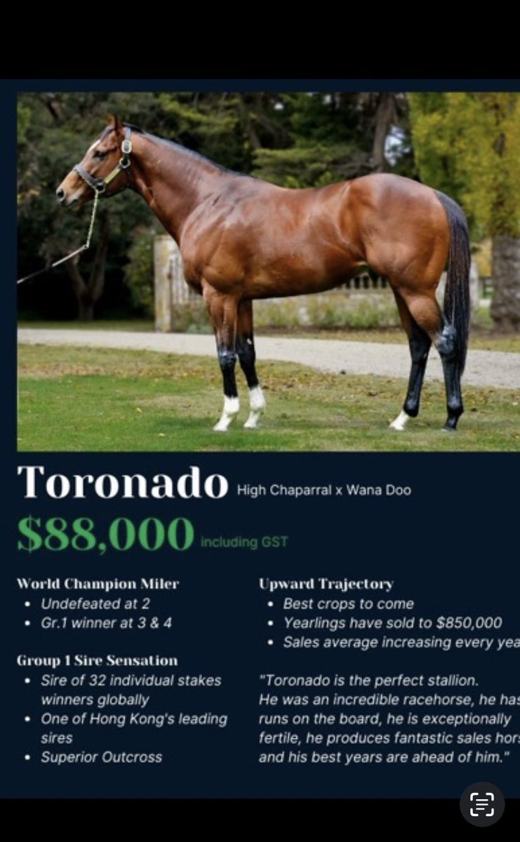 SwettenhamStud's tweet photo. #EXTRATWO 3F 🟩🟦Toronado🟦🟩 x Red Pixie(Lonhro)  wins well at her second start at Kyneton  Vic over 1218m for Ballarat Tr @cmaherracing  &amp; Jk @beau_mertens ..🟦🟩#TORONADO🟦🟩 @SwettenhamStud 🟦🟩 https://t.co/mzBctnmp02