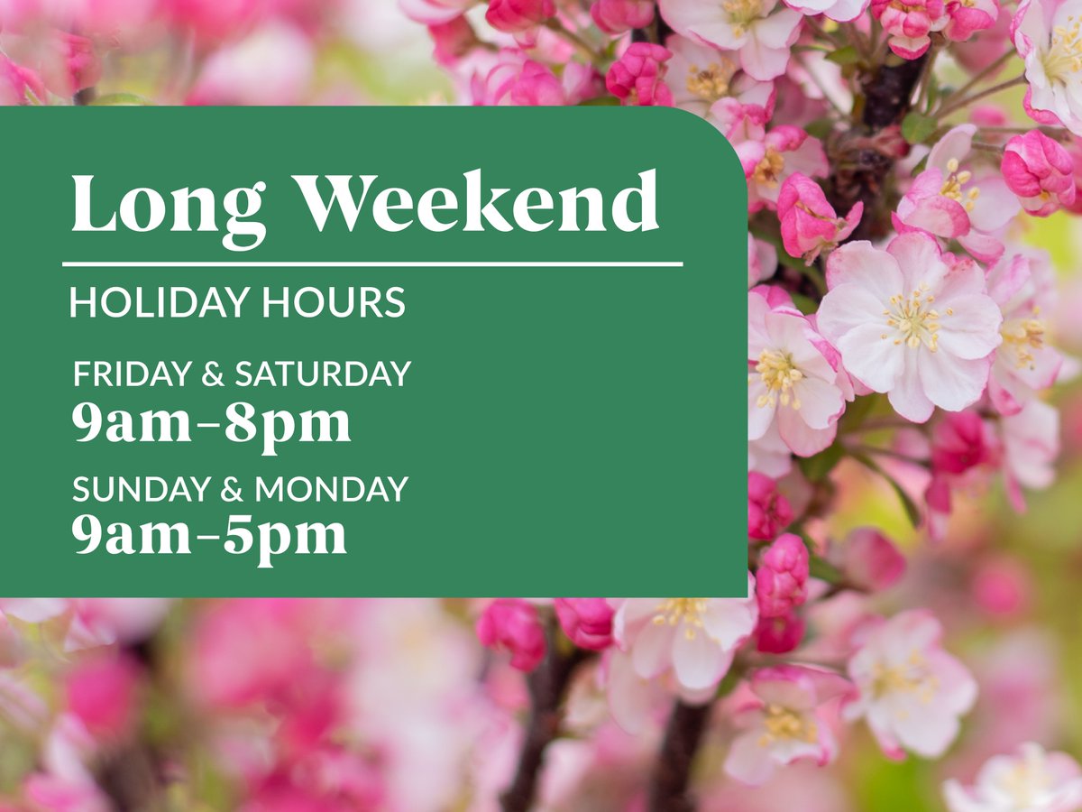 Heeman's tweet media