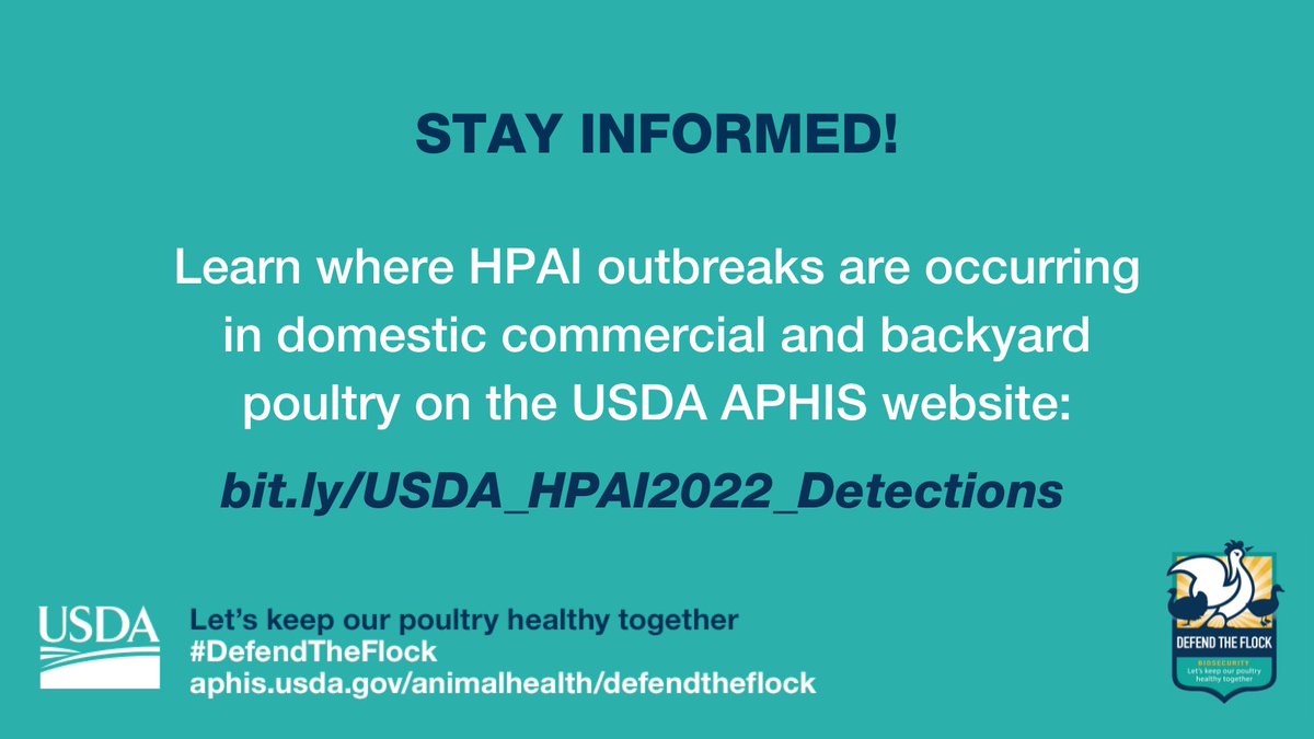 Defend_theFlock's tweet photo. Stay informed! Learn where highly pathogenic avian influenza outbreaks are occurring in domestic commercial and backyard poultry on the @USDA_APHIS website: https://t.co/i0PLpPkiNY #DefendtheFlock https://t.co/cTZx1BDyz6