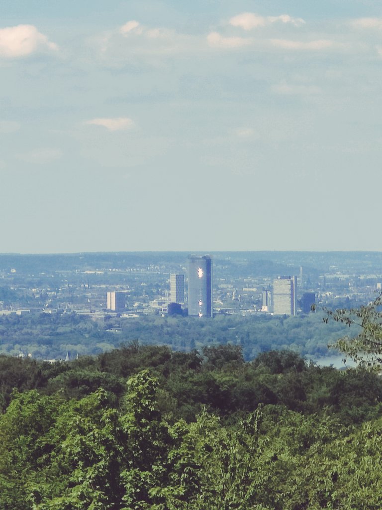 Oha... Da liegt ja Bonn zwischen den Bäumen 😬