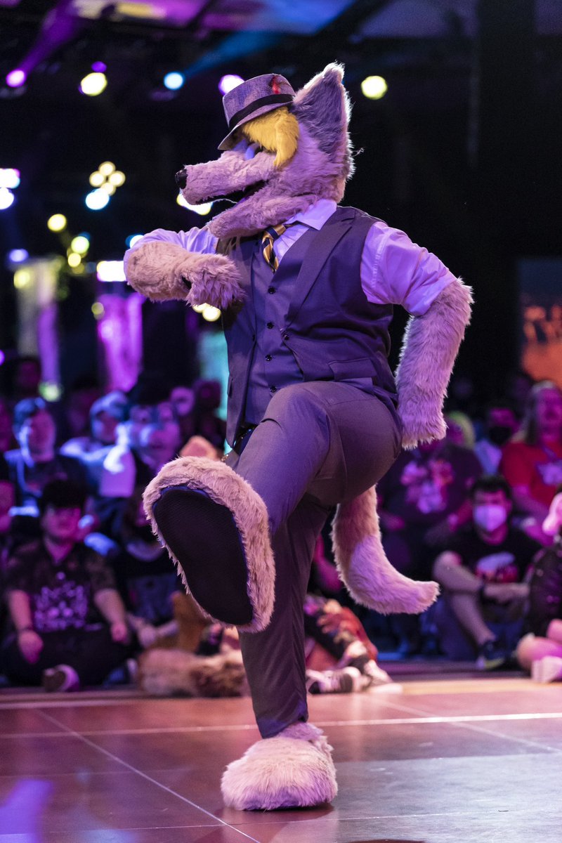 I'll start!
My AC 2016, MFF 2022, and FWA 2023 fits are some of my favorites that I've done!!!
📸: <a href="/AoLun8/">al 🐯🇹🇼</a>, <a href="/RexKCollie/">Ren Collie</a>, <a href="/dire_walf/">Dire Walf</a>