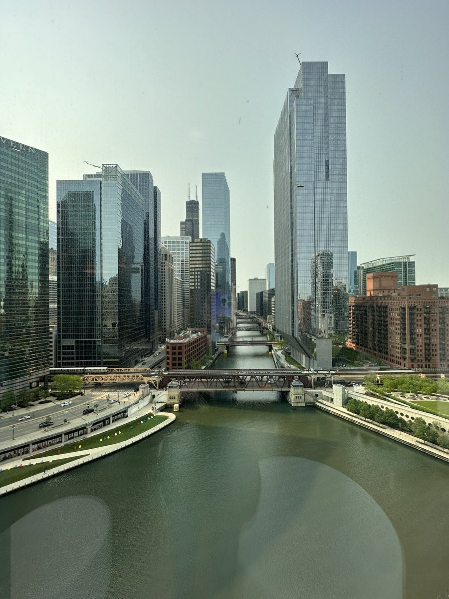 Michelle Grant tweet media