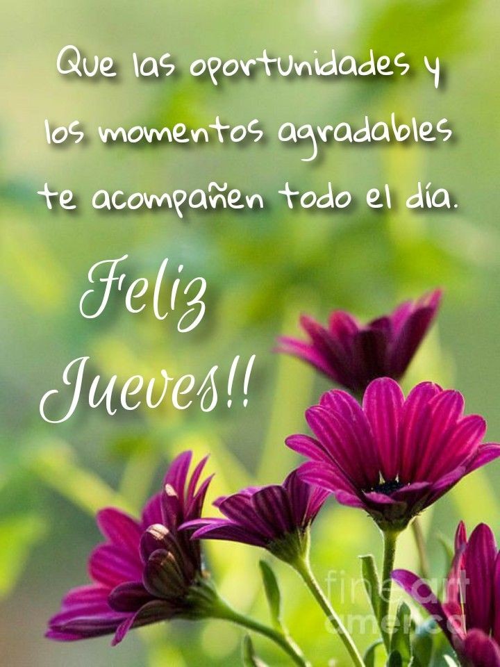 Martha Muñoz (@martham51156126) on Twitter photo 