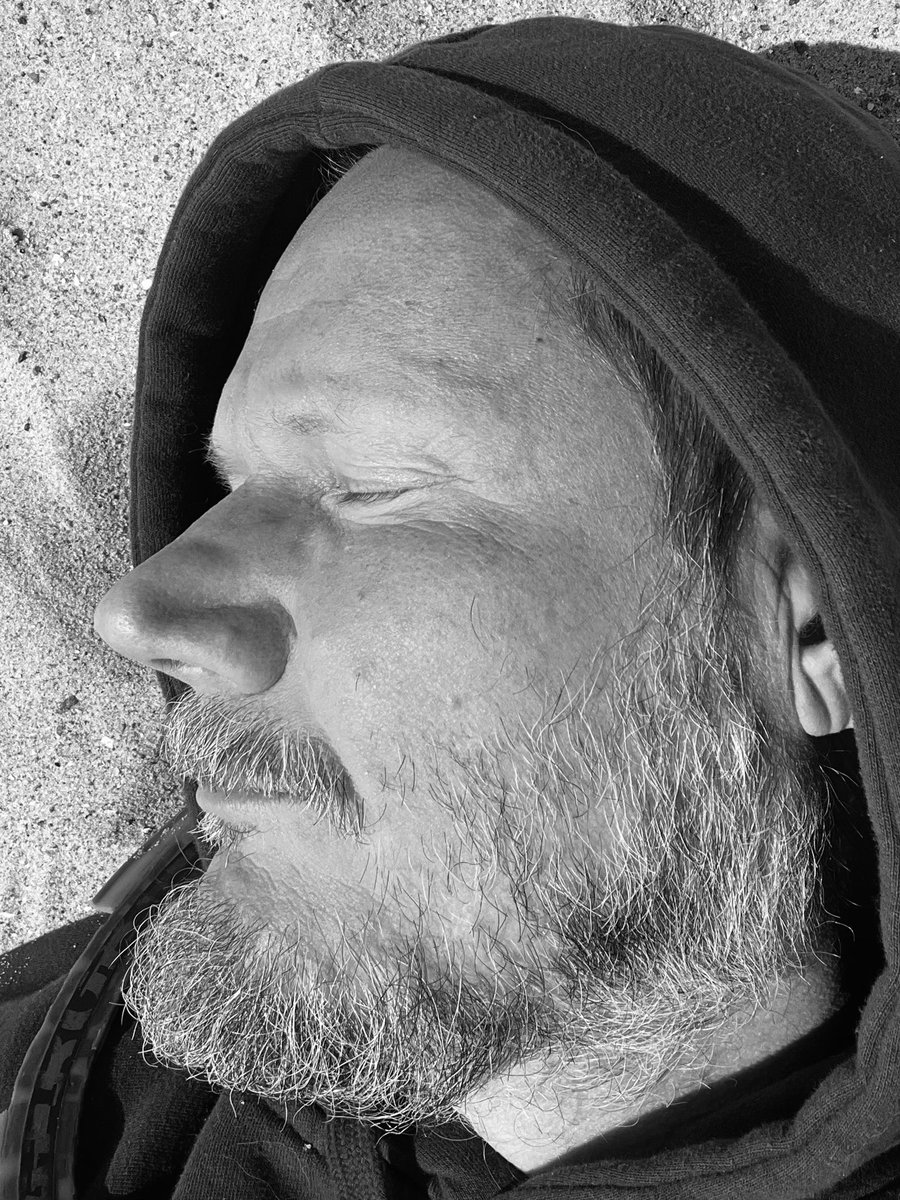 Thies C. Arntzen tweet media