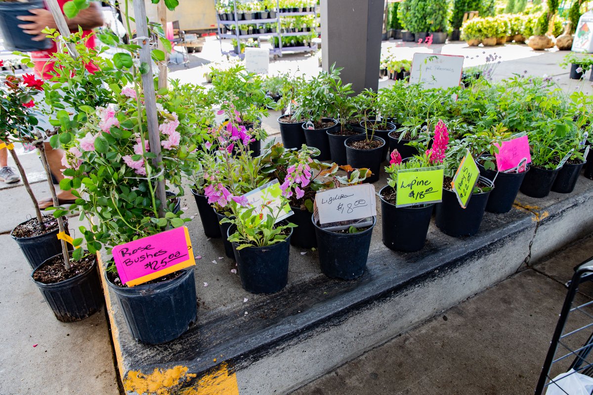 Detroitisit's tweet image. 📅 Mark your calendars: Flower Day at @easternmarket is this Sunday, May 21st, 2023!
 
#FlowerDay is an exciting event showcasing vendors from the Metro Detroit Flower Growers Association, hailing from various locations across the Midwest. There will be additional activities and