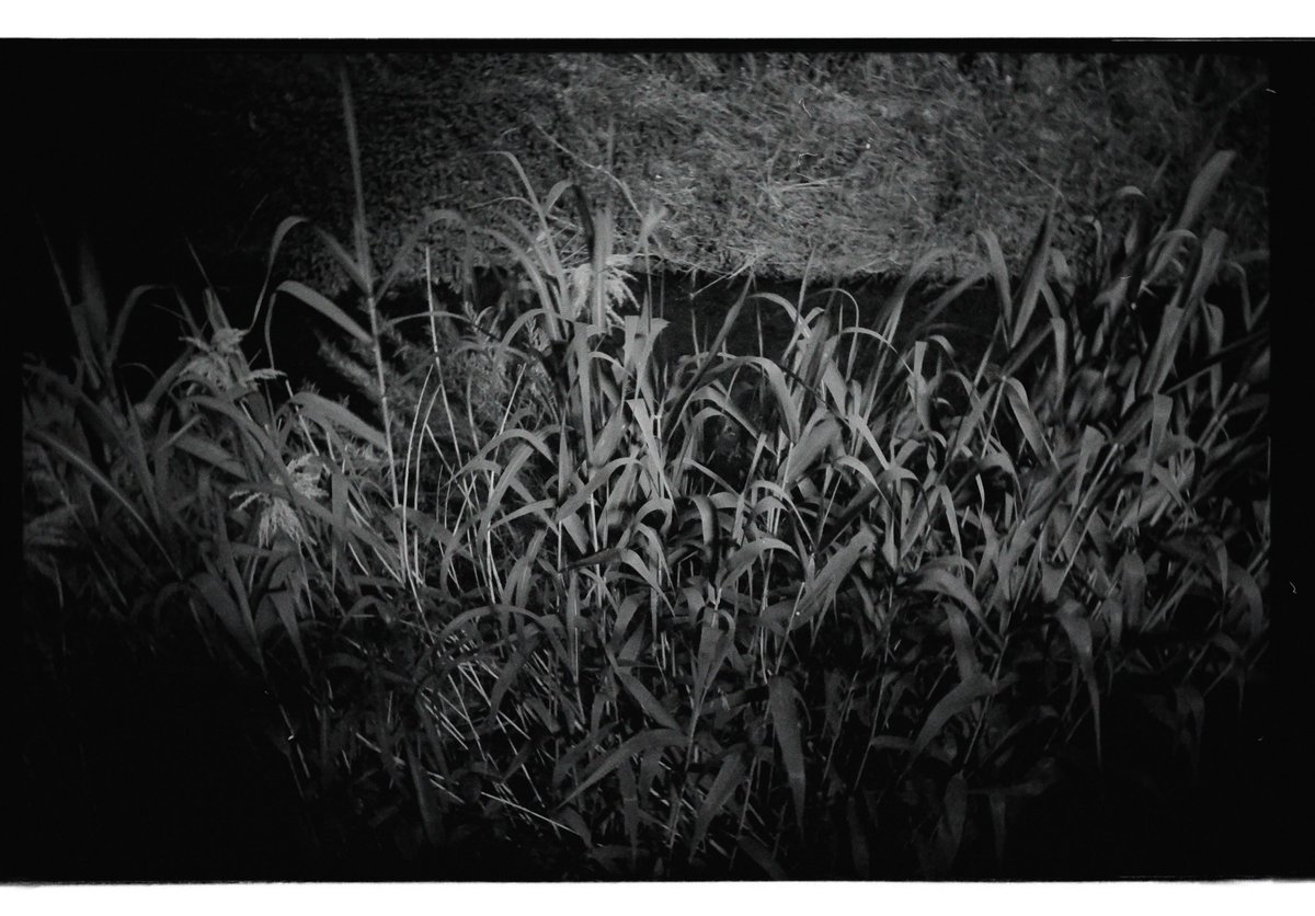 『 ホタルノヒカリ 』

 iPhone filmまたハマりそうです。
今日は家の近くでホタルを見たよ🦖

2023.05.18

#iphonefilm