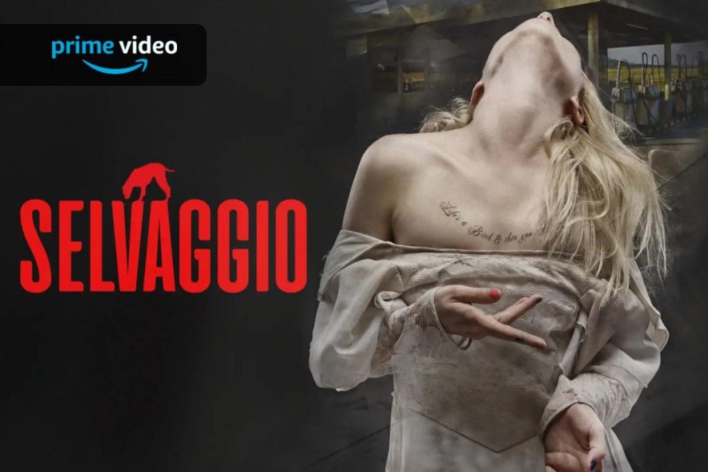 ❤ Selvaggio un film d’azione drammatico ungherese  su Amazon Prime Video
➡ ift.tt/381UxIL
❤ #Netflix #Streaming #playblog #Tecnologia #Apple #PrimeVideo #OfferteAmazon #Offerte #sconti  #Disney  #AppleTV
PlayBlog.it
